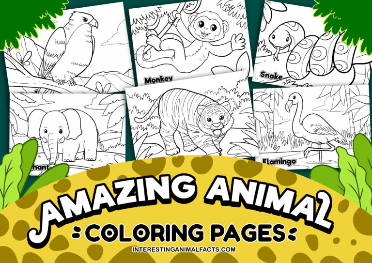 Free Animal Coloring Pages