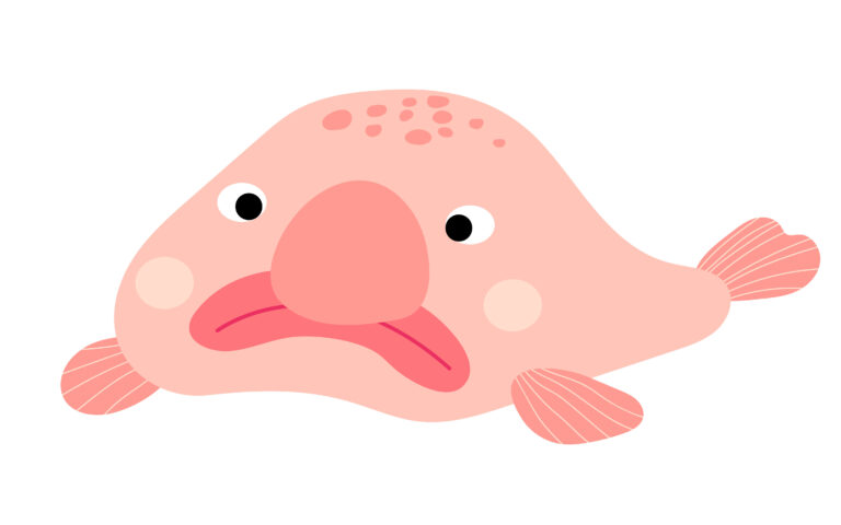 15 Baffling Blobfish Facts