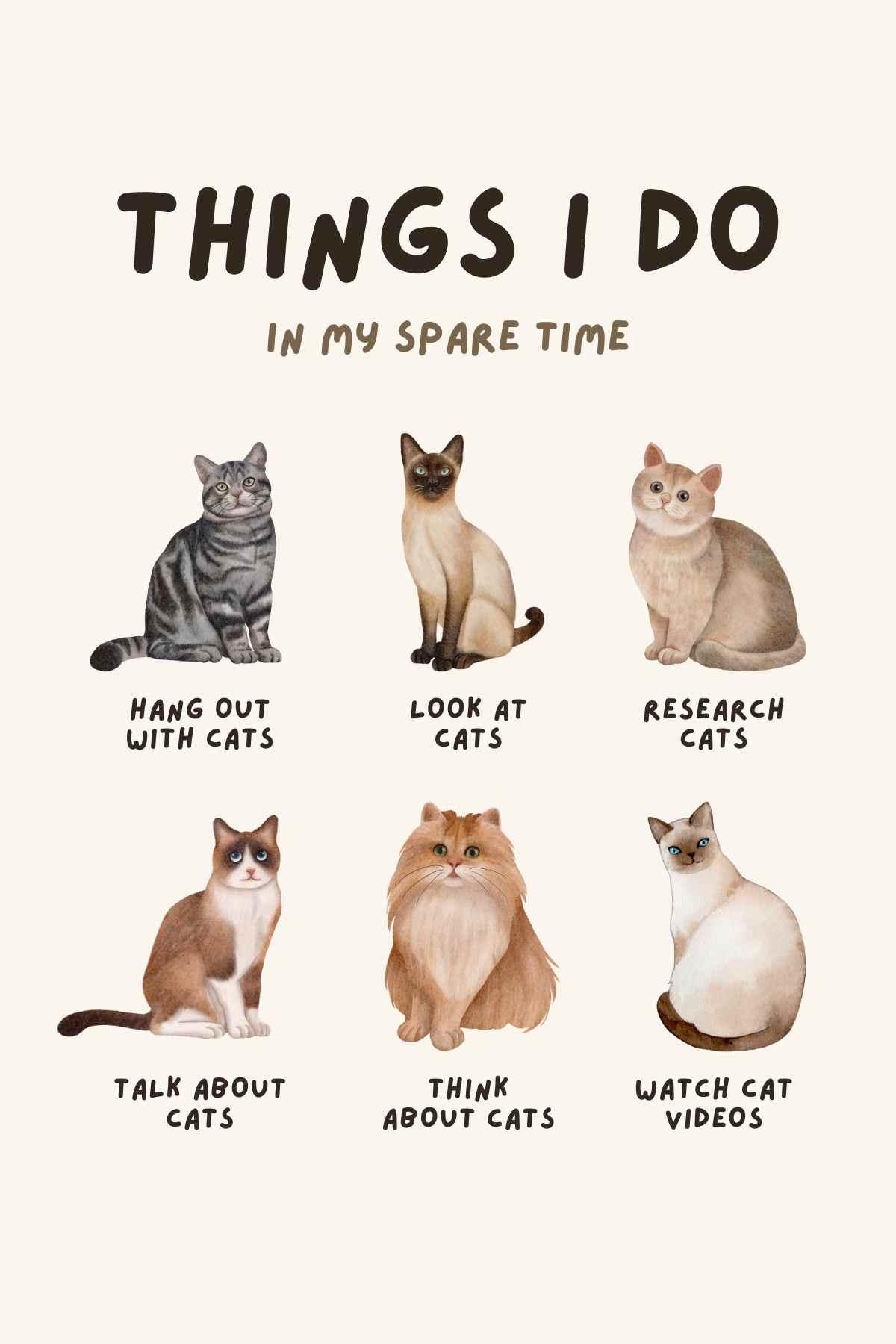 kitty facts